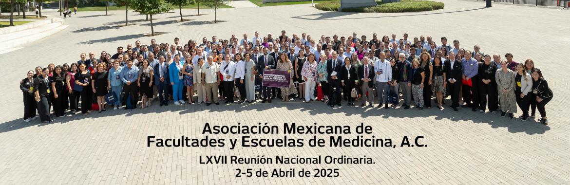LXVII Reunión AMFEM